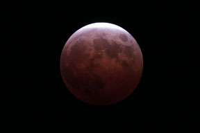 [Lunar Eclipse]