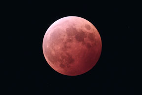[Lunar Eclipse]