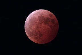 [Lunar Eclipse]