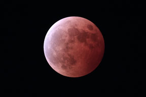 [Lunar Eclipse]