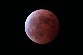 [Lunar Eclipse]