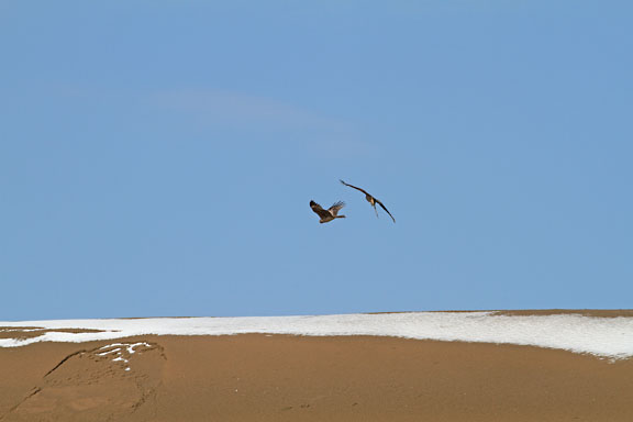 [SandHill]