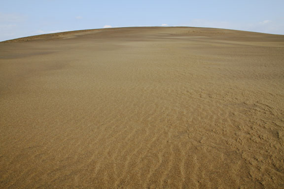 [SandHill]