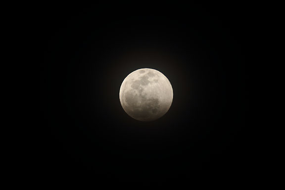 [Lunar Eclipse]
