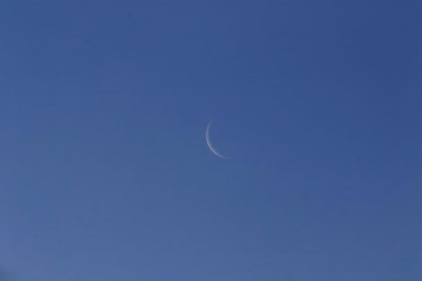 [Moon]