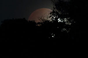 [Moon Eclipse]