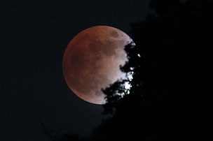 [Moon Eclipse]