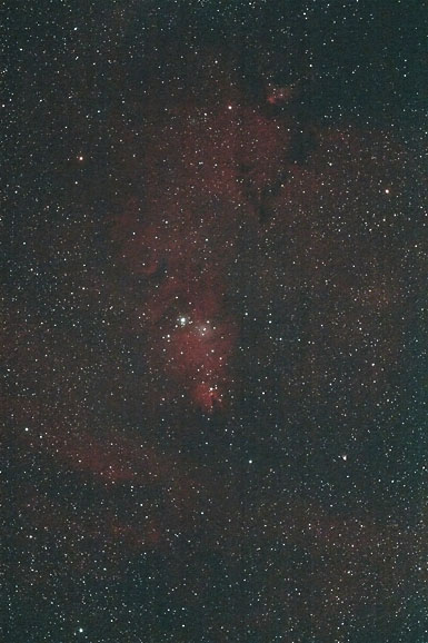 [NGC2264]