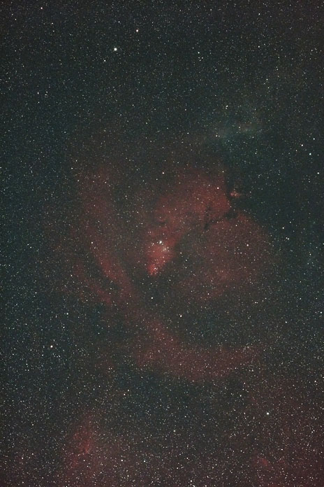 [NGC2264]