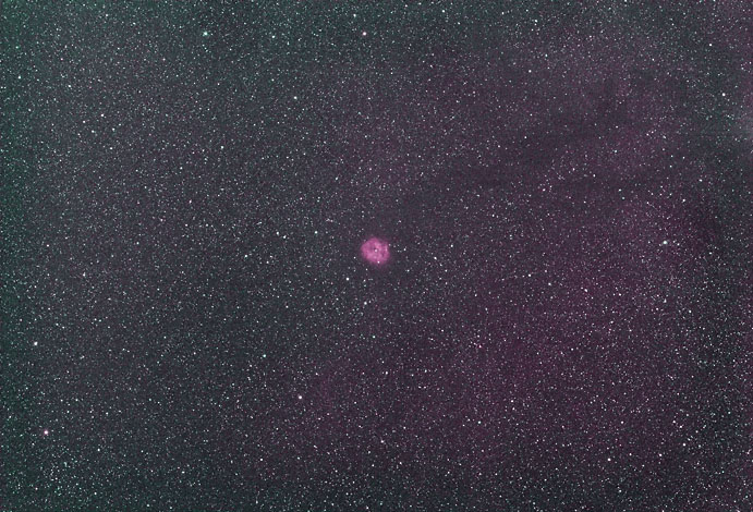 [IC5146]